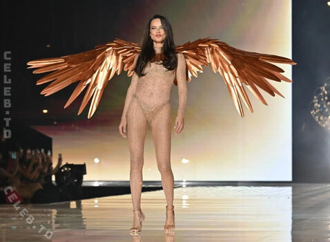 Full leaked Adriana lima page private photo