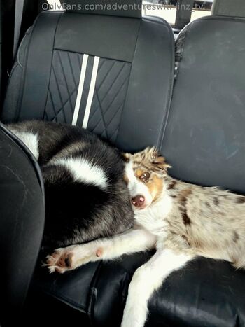 adventureswithlinz_tv