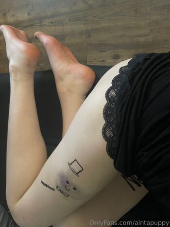 Aintapuppy