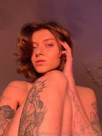 alice_notinwonderland