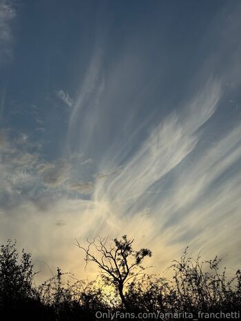 amarita_franchetti
