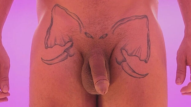 Full leaked An attracton private photo
