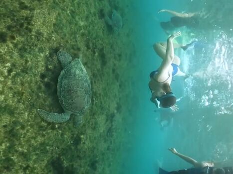 Ana Carolina Madeira