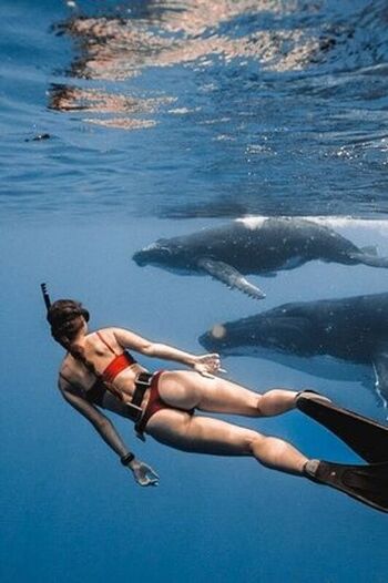 Full leaked Andrea ference private photo