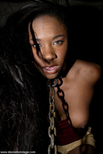 Ariel Alexus