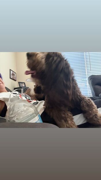 Full leaked Bayley page private photo