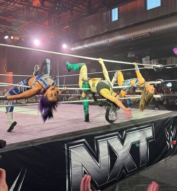 Full leaked Bayley page private photo