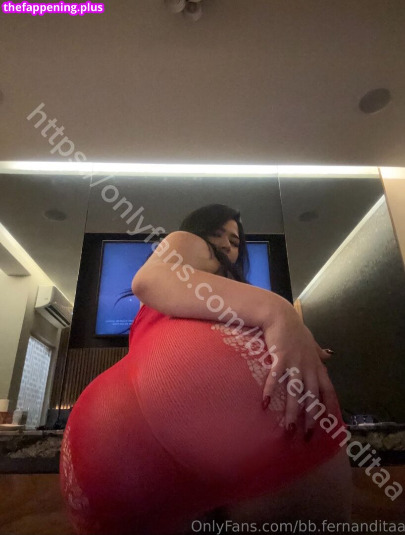 Bb.fernandita / bb.fernanditaa Nacktes OnlyFans Foto #48