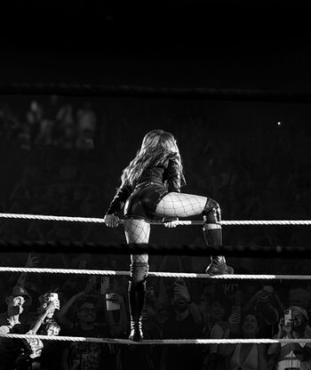 Full leaked Becky lynch page private photo