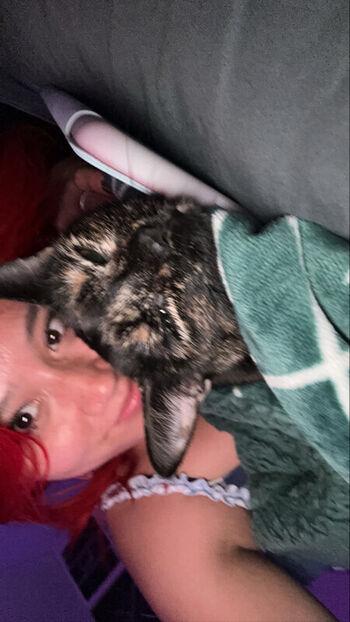 Full leaked Bells david private photo