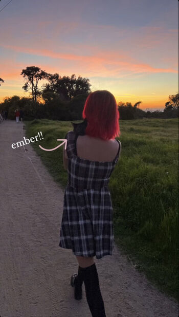 Full leaked Bells david private photo