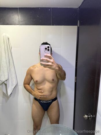 brazildaddybearfreepage