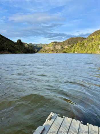 breasts_in_nature_free