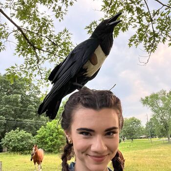 Full leaked Brett cooper private photo