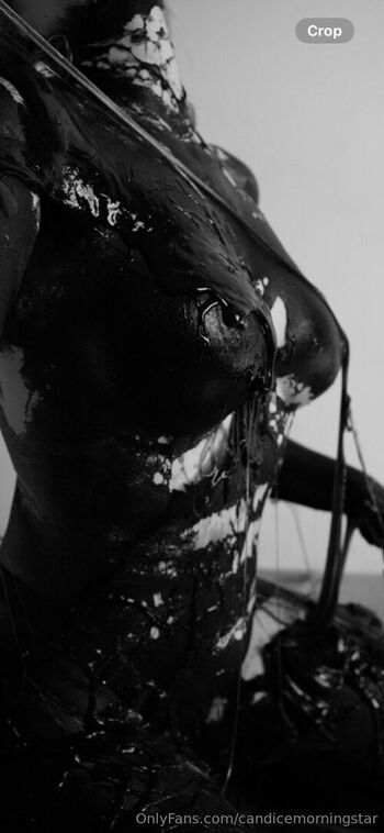 candicemorningstar