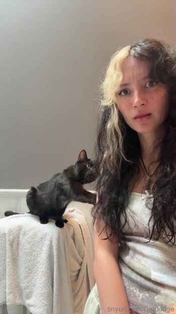 Catdodge