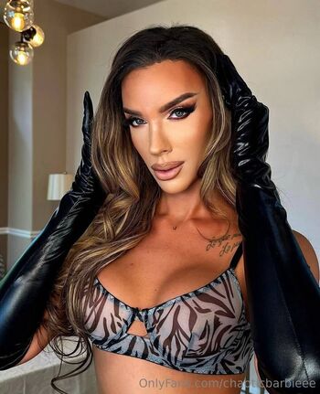 chaoticbarbieee