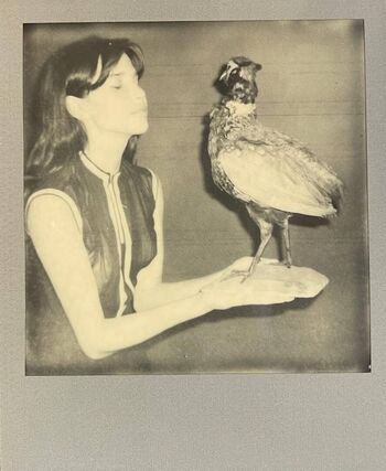 Full leaked Charlotte dalessio private onlyfans photo