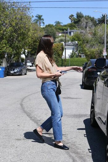 Dakota Johnson
