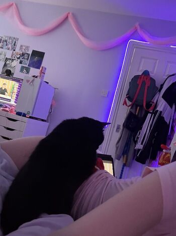 Full leaked Digitalkatt page private photo