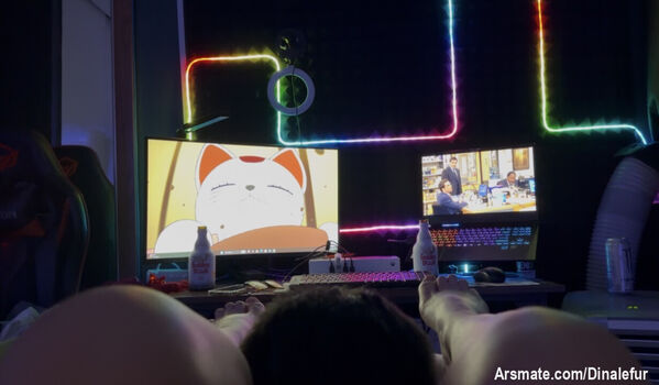 Full leaked Dinaeiffel private photo