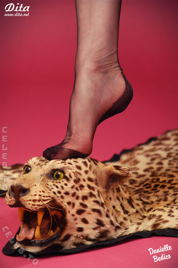 Full leaked Dita von teese private photo