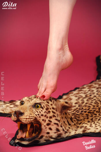 Full leaked Dita von teese private photo