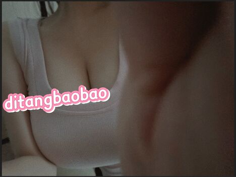 Ditangbaobao