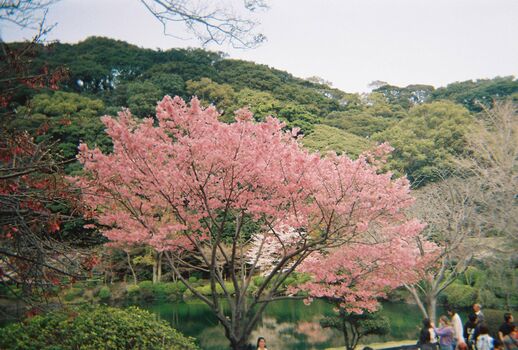 Full leaked Dosya gasai  page private photo