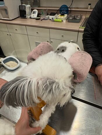 Leaked Bigtitmommyx/ private photo viral onlyfans