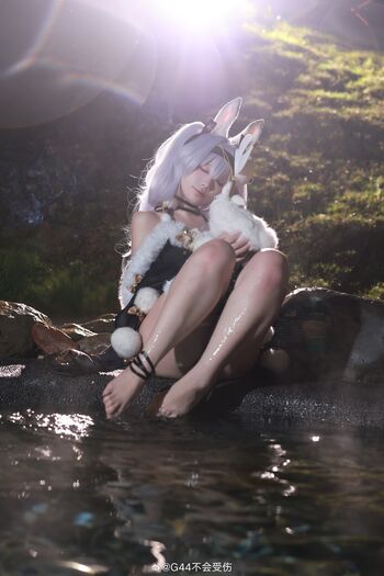 g44gallery