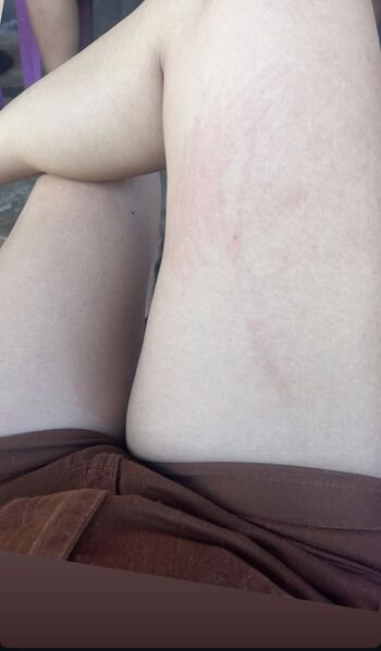 Gatas De Porto Velho