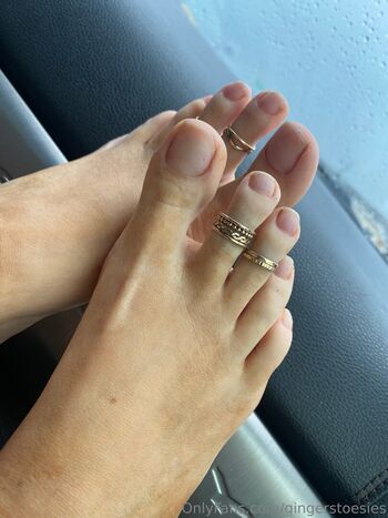 Gingerstoesies