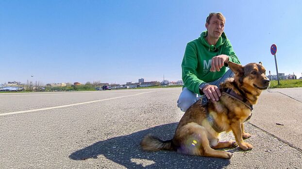 Full leaked Hartz rot gold private photo