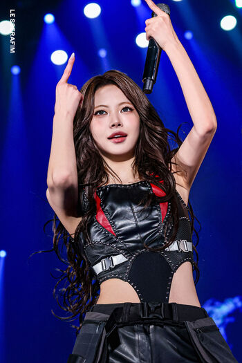 Hong Eunchae 홍은채