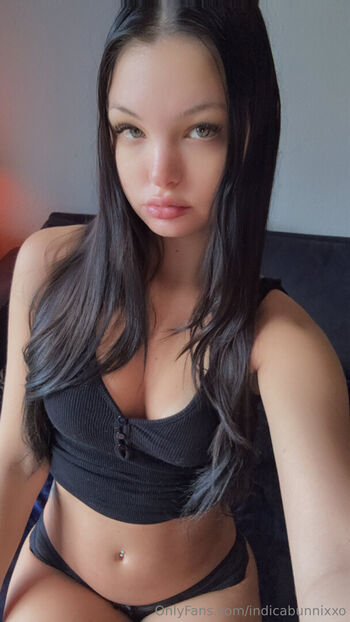 indicabunnixo