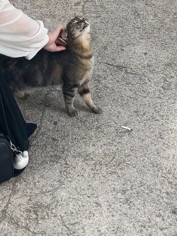 Full leaked Sheforkeeps/ private photo