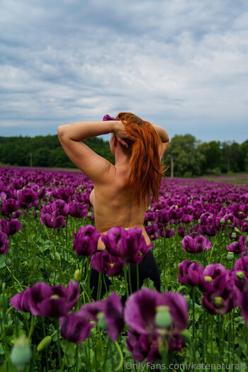 katenaturals