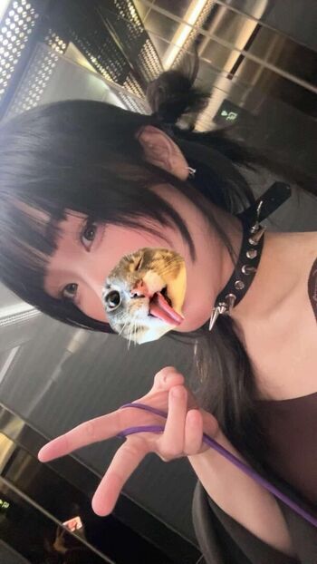 Kitsune