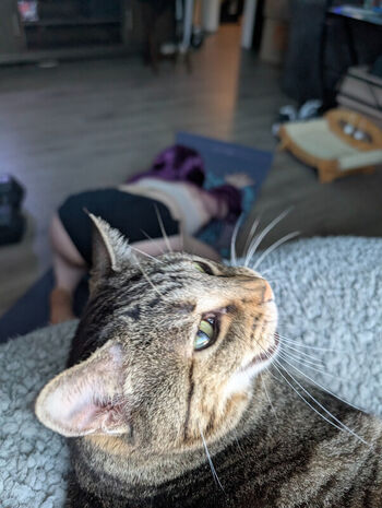 Full leaked Kitty bit games private photo