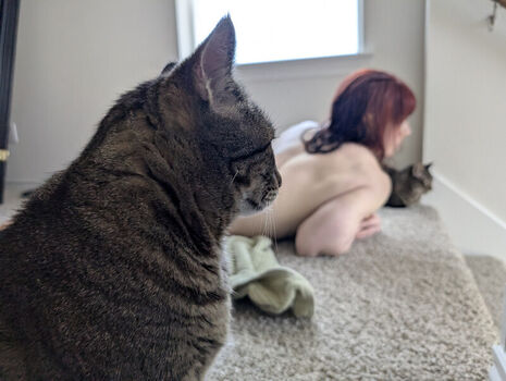 Kittybit