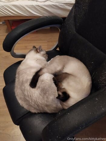 Full leaked Kittykathee private photo