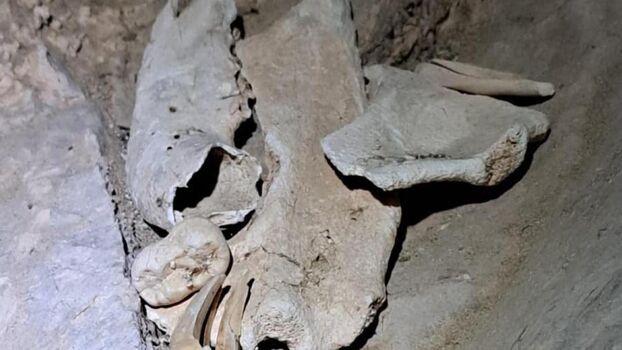 Full leaked Laurenspenceruk private photo