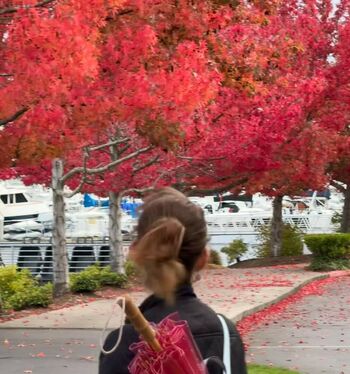 Full leaked Lauriewired private photo