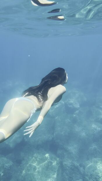 Lilychee