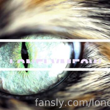 LonelyMeow