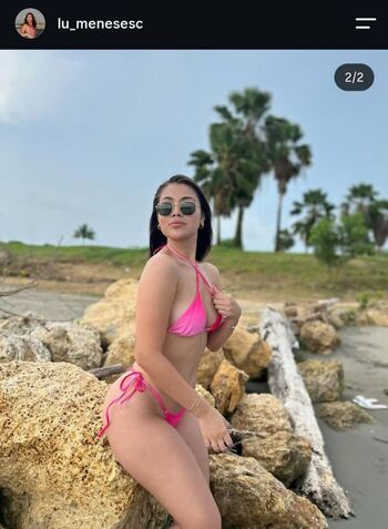 lu_menesesc