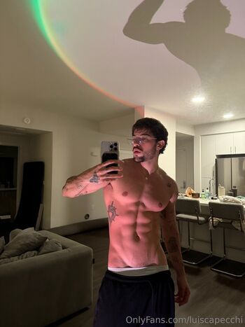 luiscapecchi