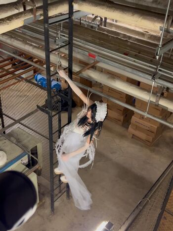 males_are_not_cancelled