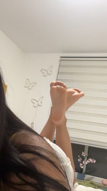 melodi.mzd